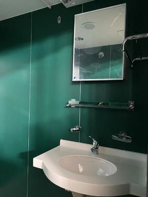 acheter Conception modulaire prête à l'emploi de panneau de toilette résistante au feu fabrication en ligne